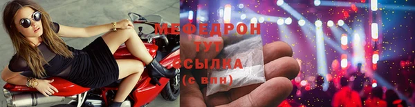 индика Туринск