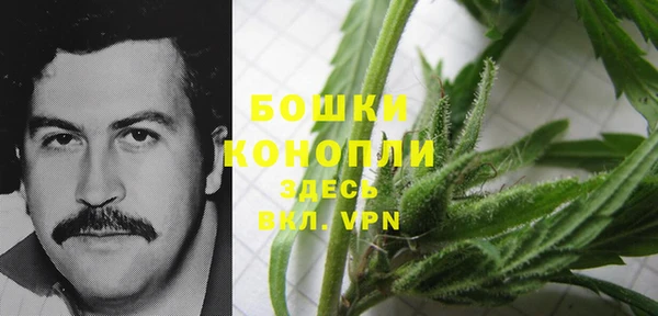индика Бугульма