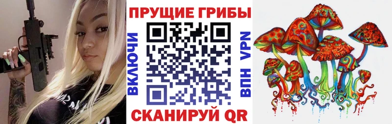 Купить где  Щёлкино  Псилоцибиновые грибы Psilocybine cubensis 